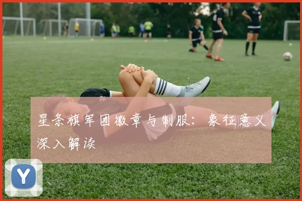 星条旗军团徽章与制服:象征意义深入解读