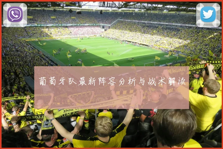葡萄牙队最新阵容分析与战术解读