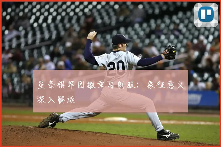 星条旗军团徽章与制服：象征意义深入解读